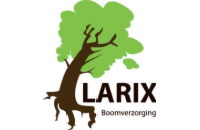 Boomverzorging Larix 